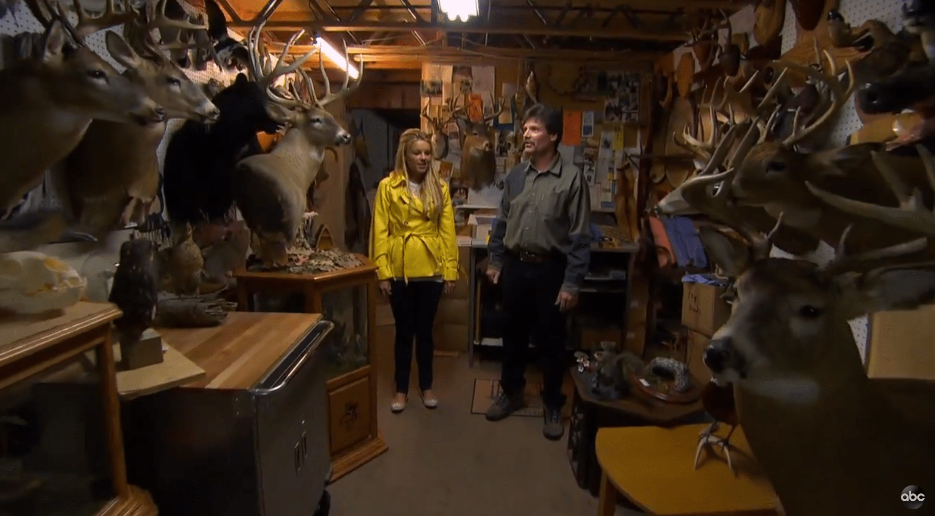 aly-fedotowsky-kirk-hometown