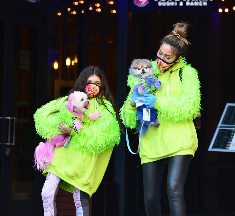 farrah-abraham-sophia-twinning-moments