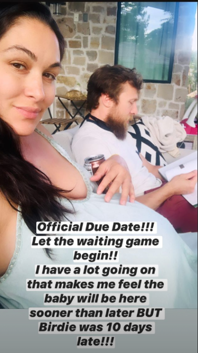 brie bella reveals due date