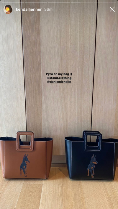 kendall-jenner-custom-staud-bags-with-dog-pyro
