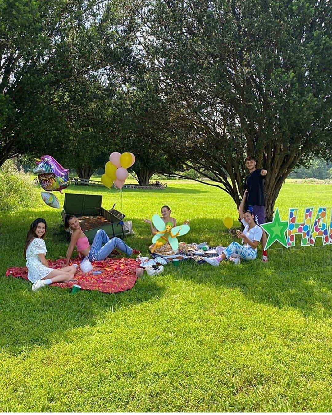 Mohamed Hadid Shares Picnic Photo With Pregnant Gigi Hadid Bella Hadid Anwar Hadid Dua Lipa and Leah McCarthy