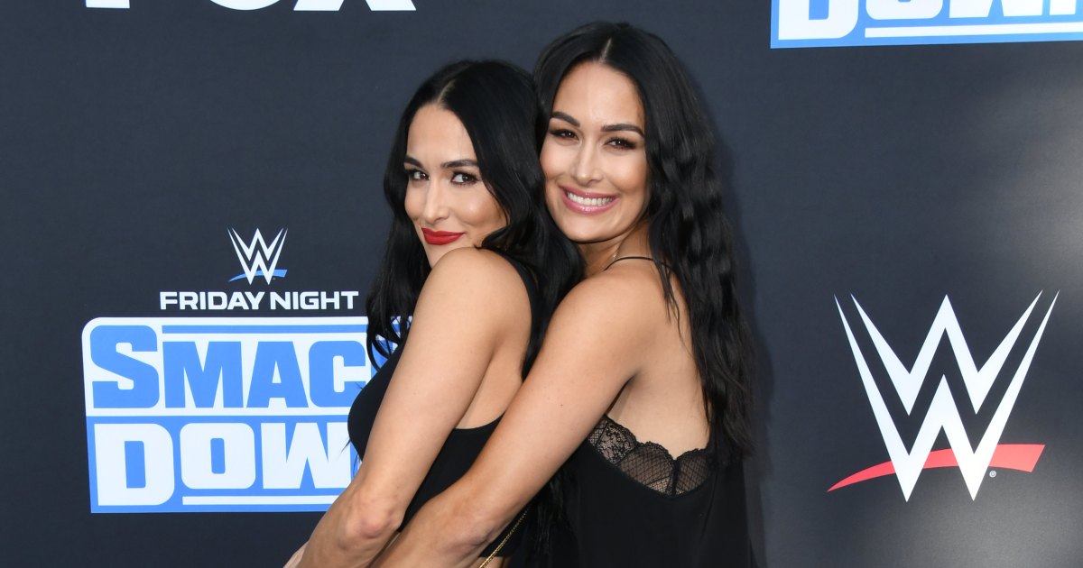 Nikki and Brie Bella strip off for stunning nude pregnancy photo shoot | Metro News
