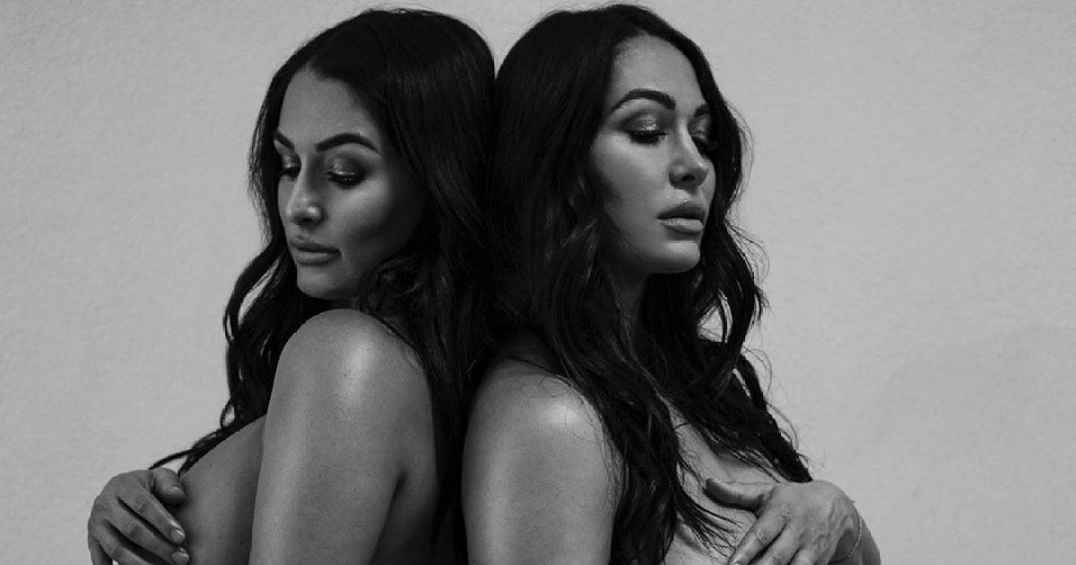 Nikki and Brie Bella Pose for Nude Pregnancy Photos Together