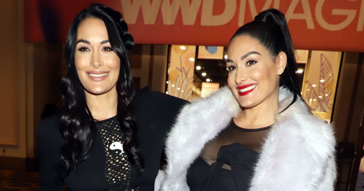 The Bella Twins Give Birth: Celebrities React to Nikki and Brie's Babies