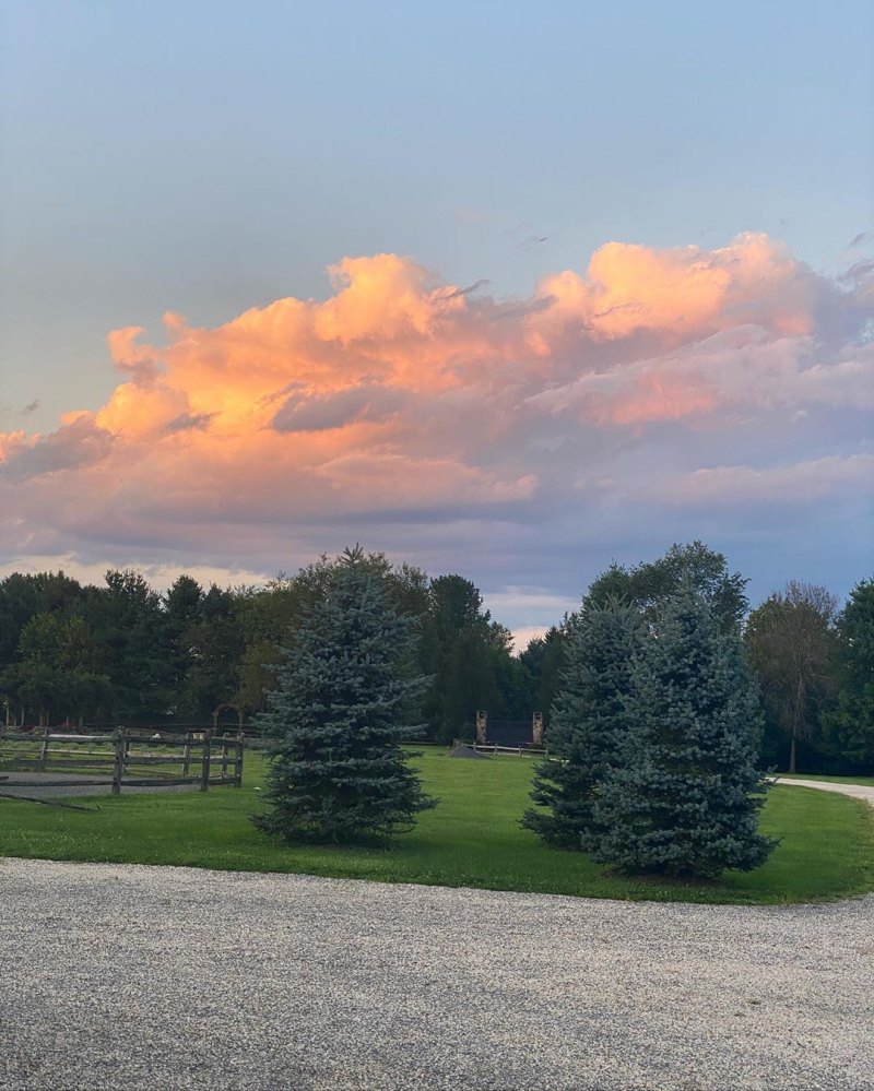 Gigi and Bella Hadid's Farm