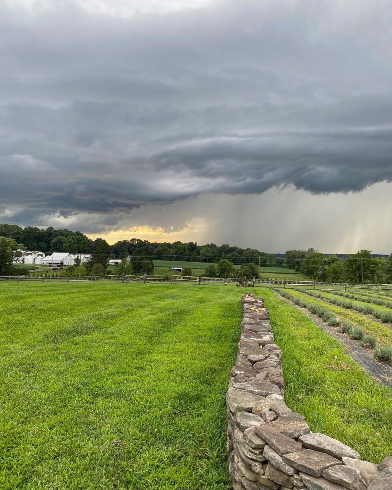 Gigi and Bella Hadid's Farm