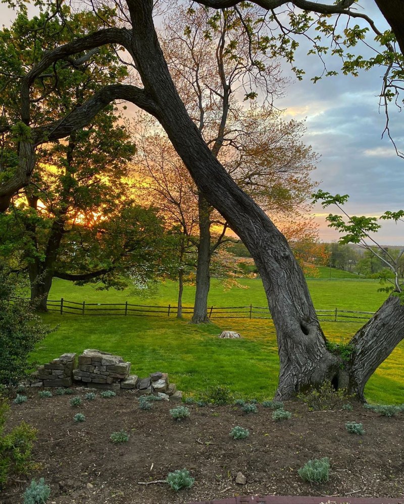 Gigi and Bella Hadid's Farm