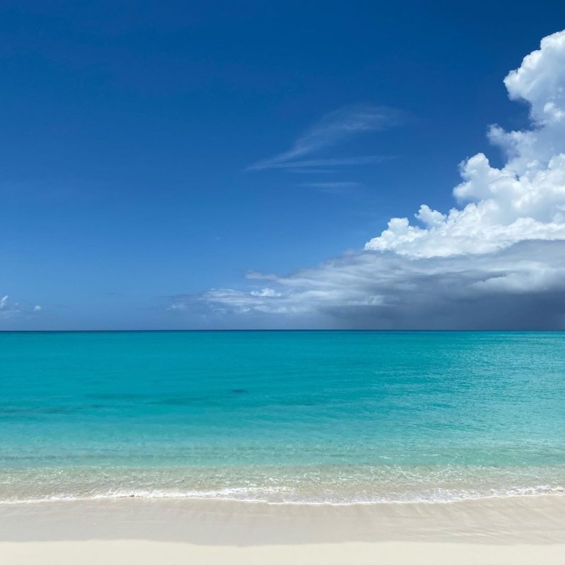 Kylie Jenner Birthday Party