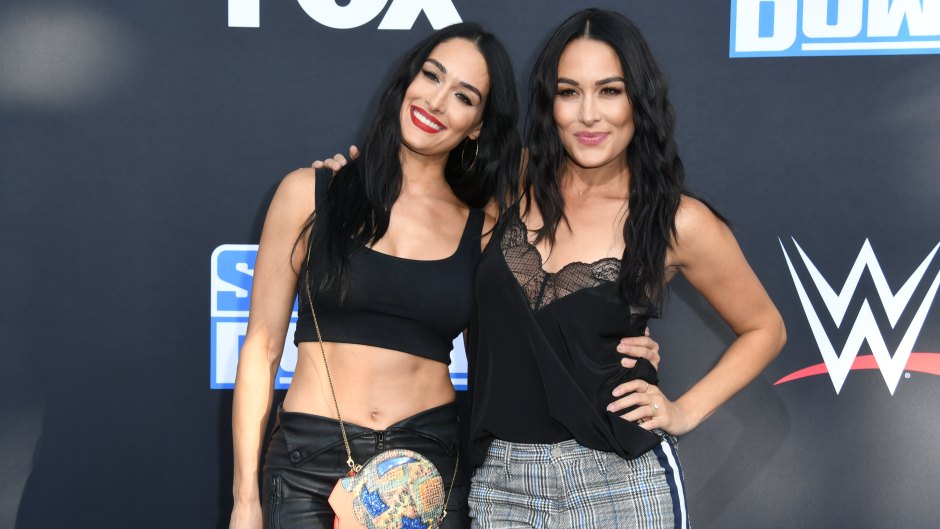 Nikki and Brie Bella 'Hoped' They Would Give Birth on the 'Same Day' Before Welcoming Sons
