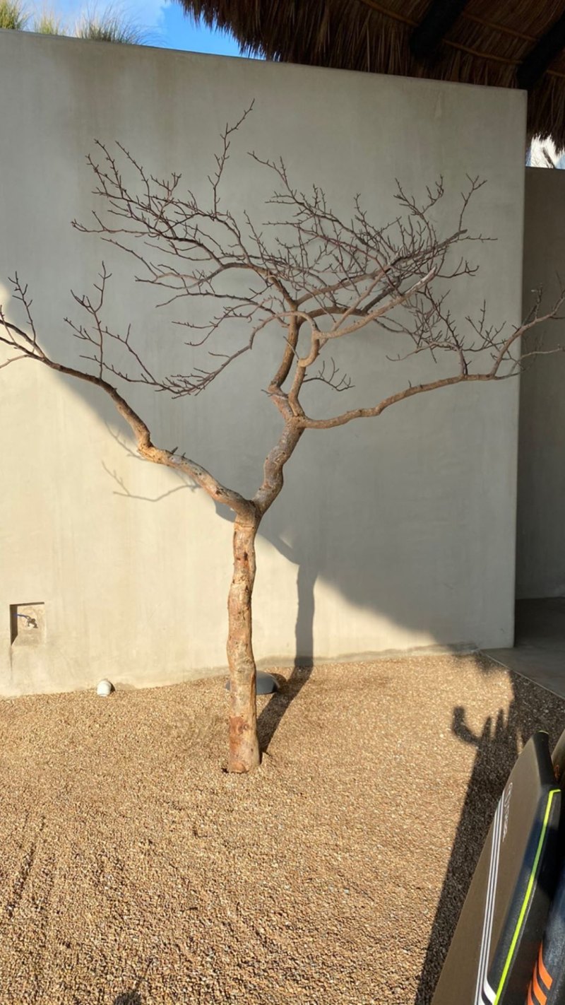 Sofia Richie's Birthday Party