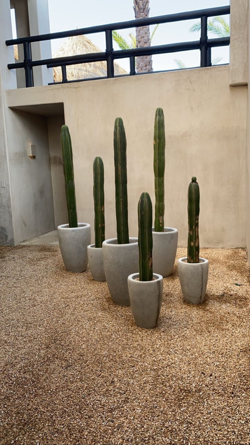 Sofia Richie's Birthday Party