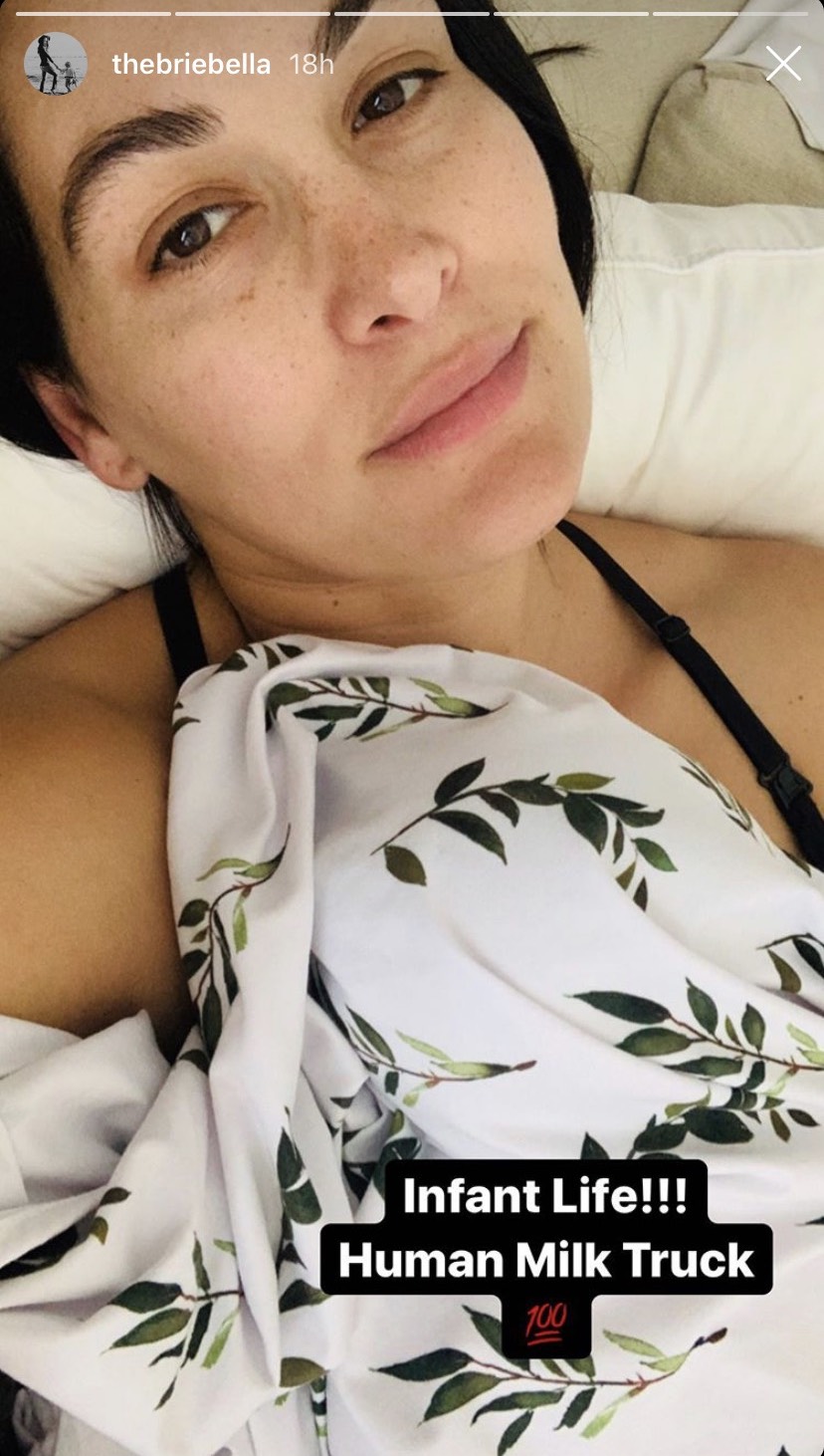 brie-bella-human-milk-truck-breastfeeding-ig