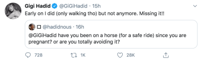 gigi-hadid-horseback-riding-tweets