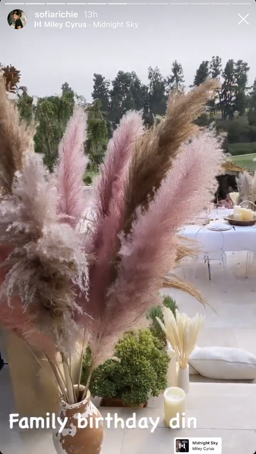 sofia-richie-family-birthday-dinner