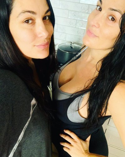 Nikki and Brie Bella Show Postpartum Bodies 2 Weeks After Births