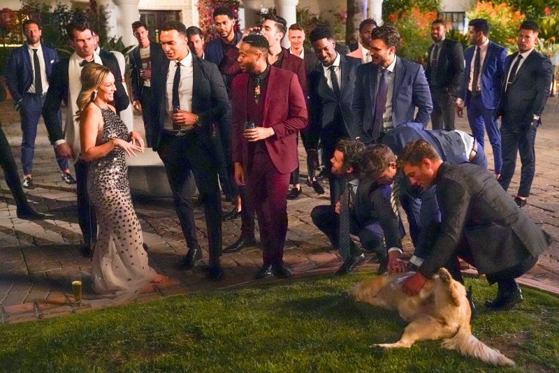 Bachelorette Clare Crawley and Dale Moss' Cutest Photos So Far 3