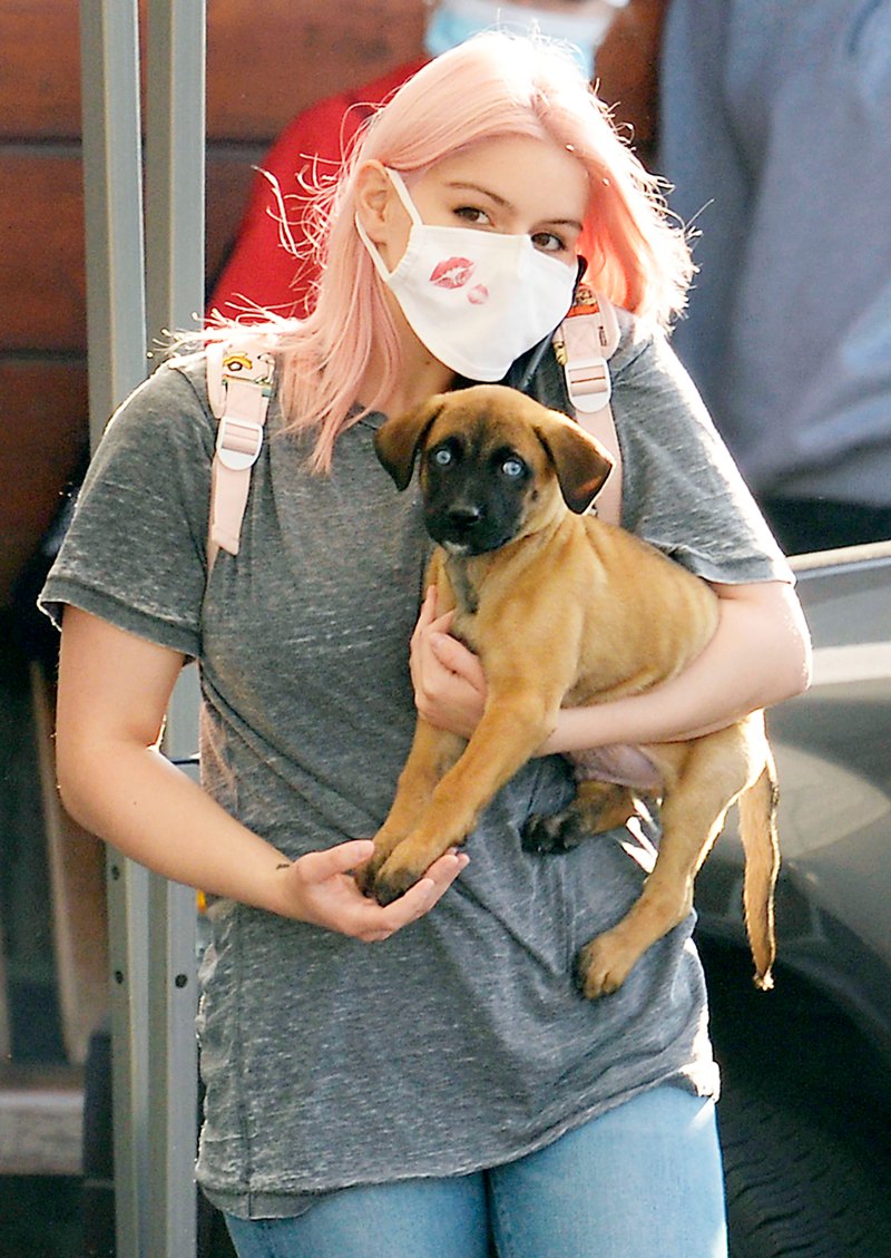 Puppy Love! Ariel Winter Rocks Light Pink Hair While Stepping Out With Her New Dog
