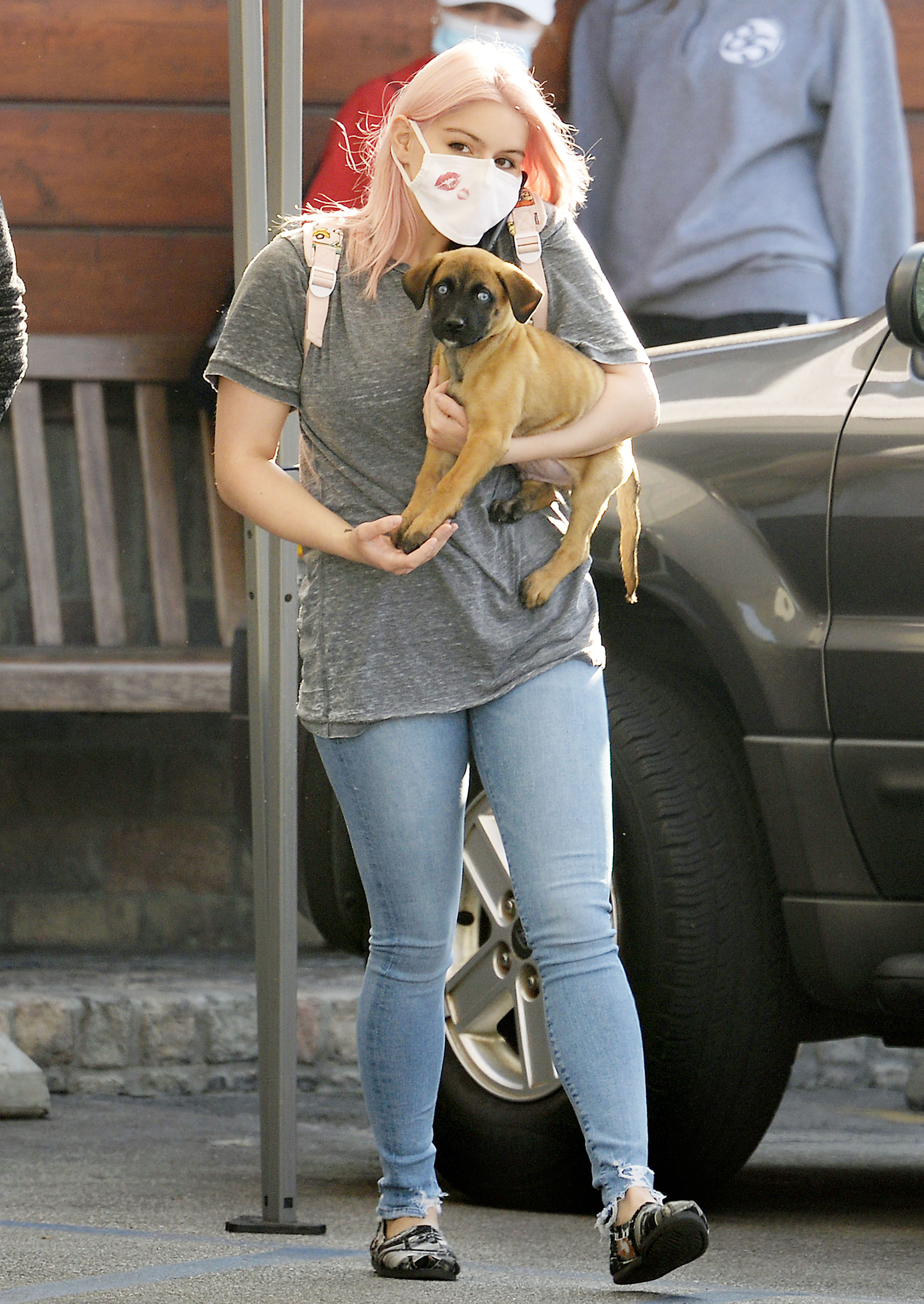 Puppy Love! Ariel Winter Rocks Light Pink Hair While Stepping Out With Her New Dog