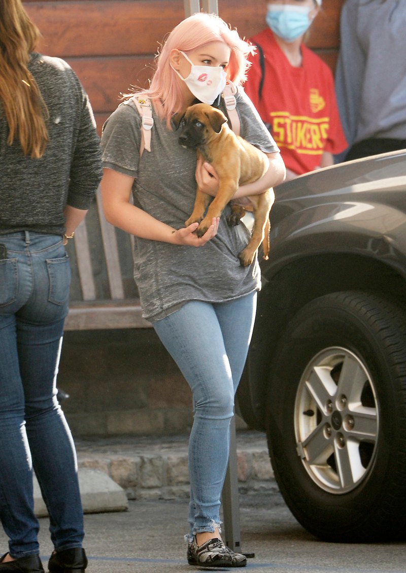 Puppy Love! Ariel Winter Rocks Light Pink Hair While Stepping Out With Her New Dog
