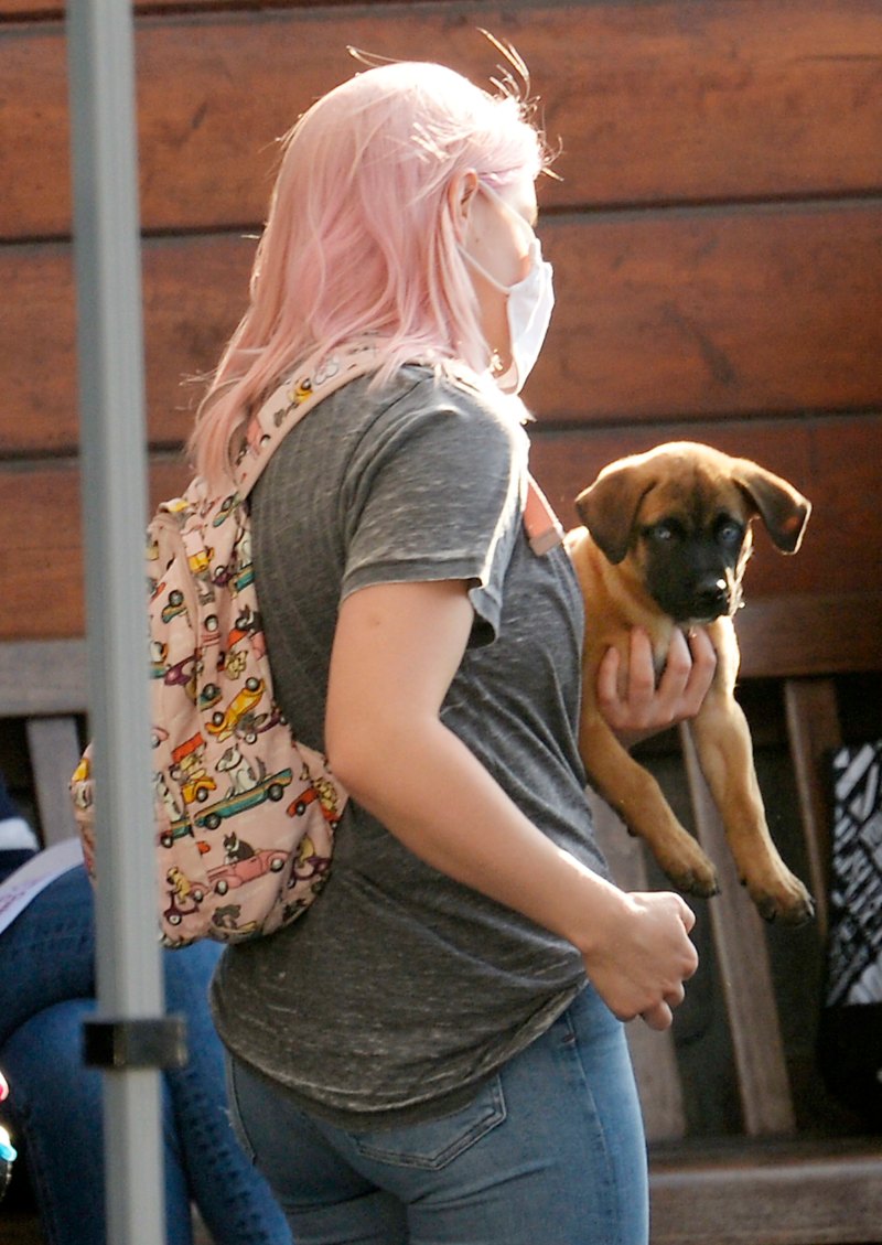 Puppy Love! Ariel Winter Rocks Light Pink Hair While Stepping Out With Her New Dog