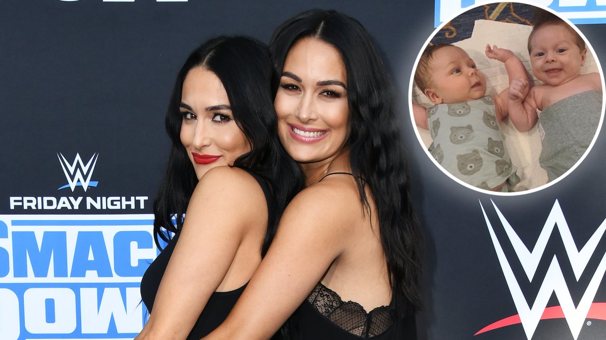 Brie Bella's Son Buddy Calms Nikki's Son Matteo