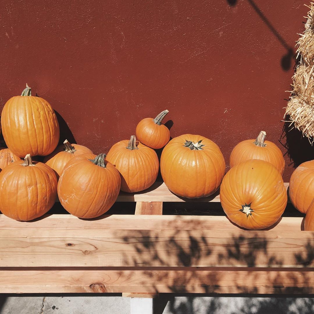 Celebrity Halloween Decorations