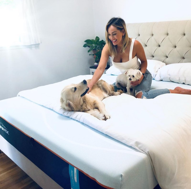 Clare Crawley's Dogs Elby and Honey