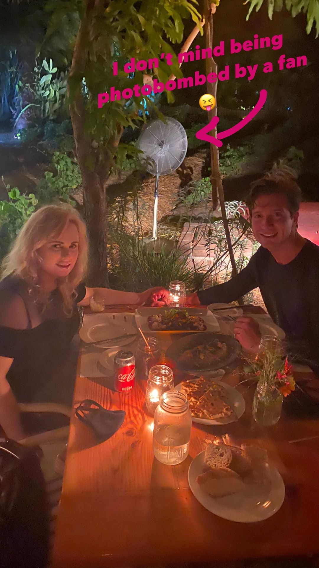 Rebel Wilson and Boyfriend Jacob Busch's Cutest Photos