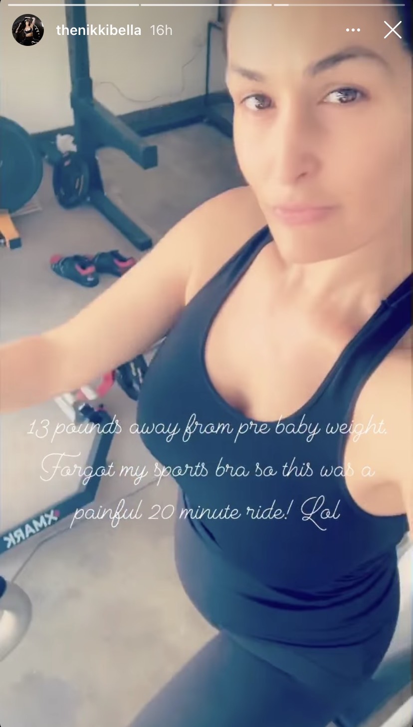 nikki-bella-13-pounds-away-pre-pregnancy-weight