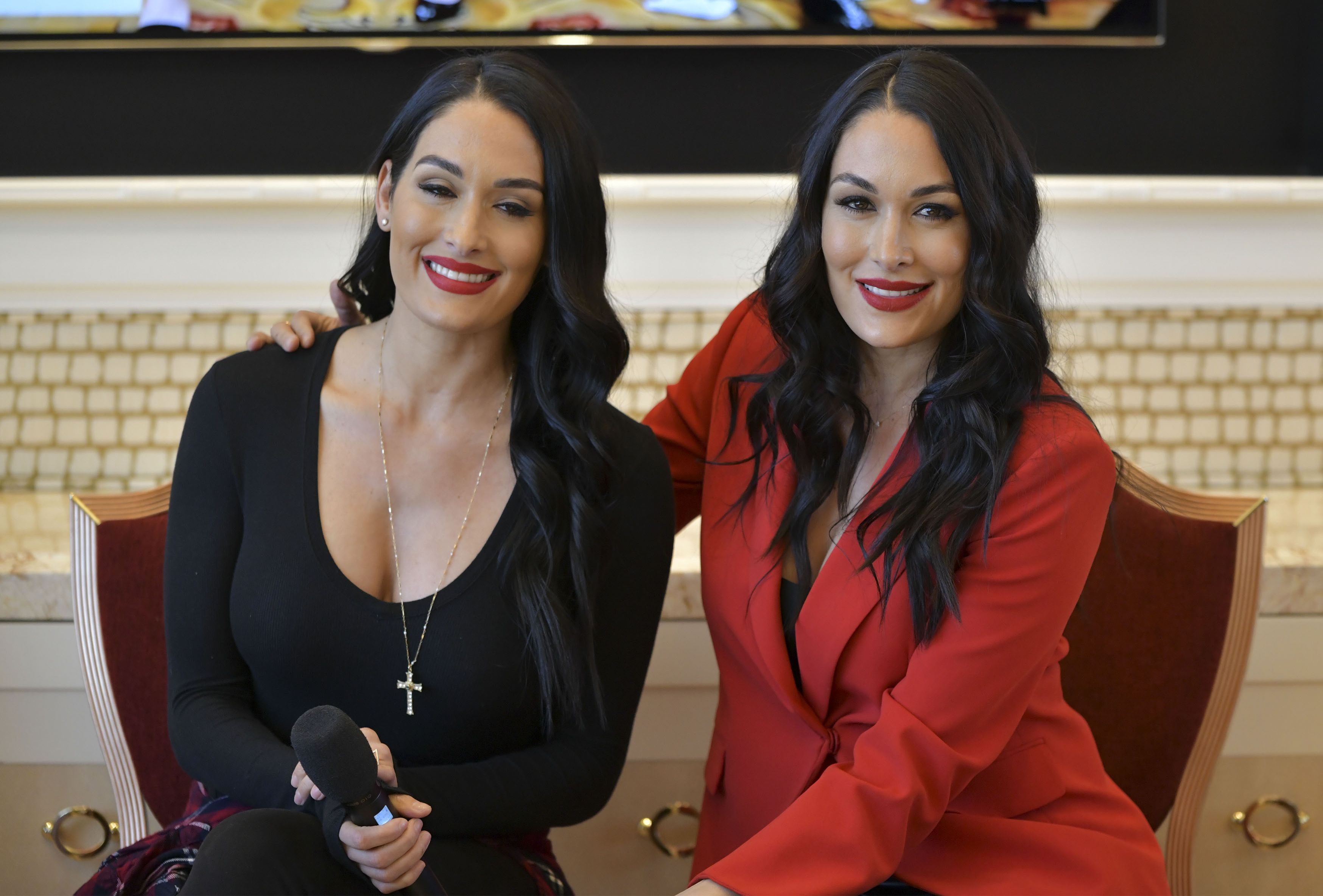 Where Do the Bella Twins Live? Moved From Phoenix to Napa Valley