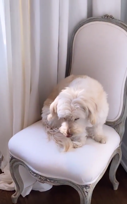 stassi schroeder nursery