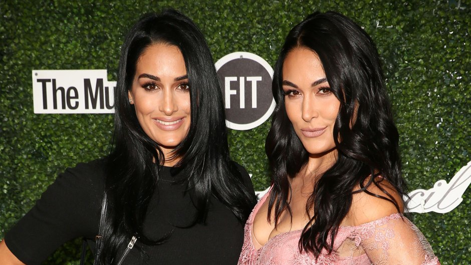 Mom Moments! Nikki and Brie Bella's Sweetest Moments With Their Families