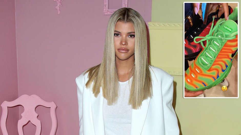 Sofia Richie Shows Off Her Colorful and Expensive New Kicks