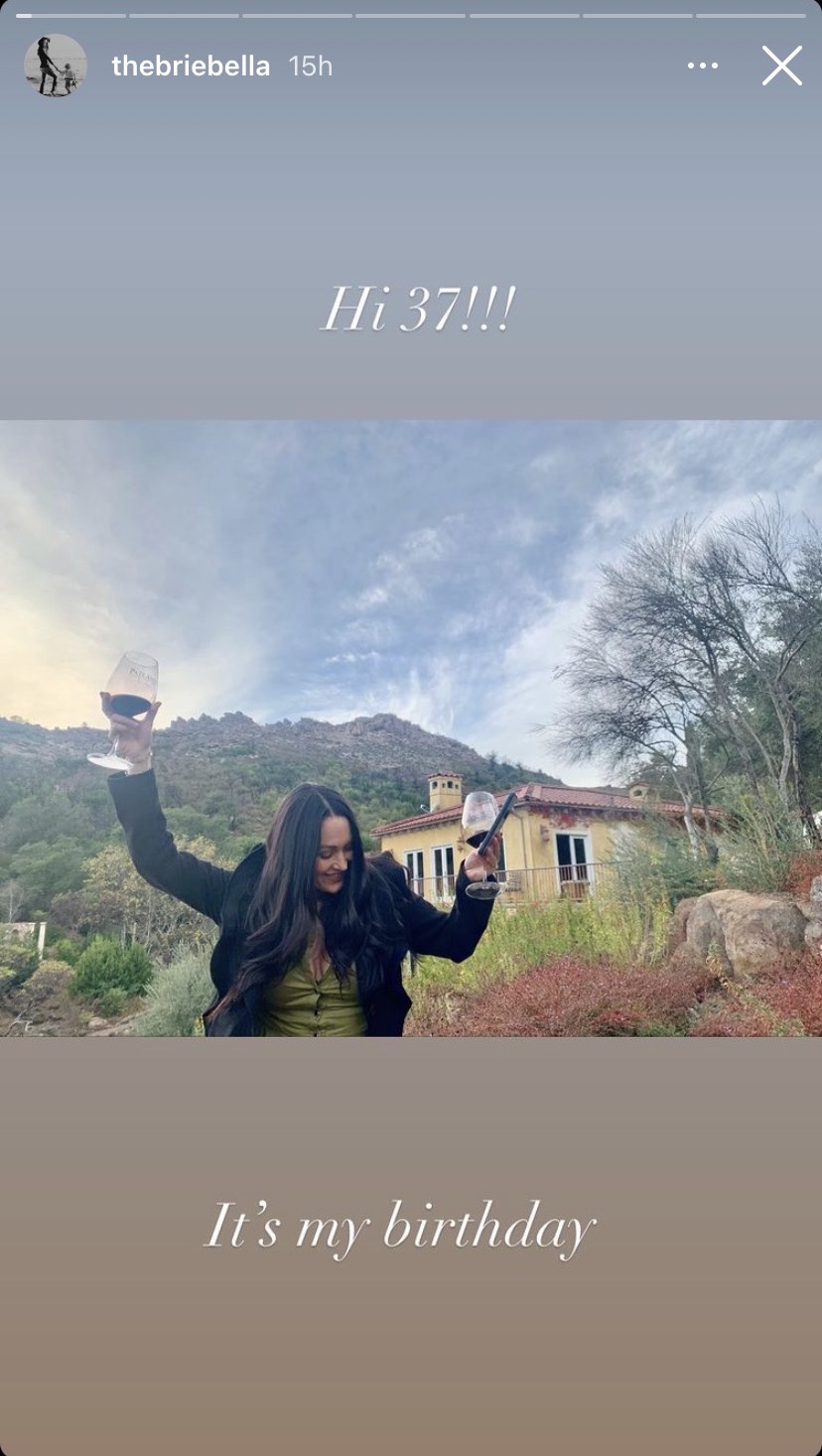 brie-bella-birthday-instagram-stories-wine