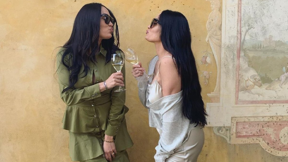 nikki-brie-bella-birthday-instagram