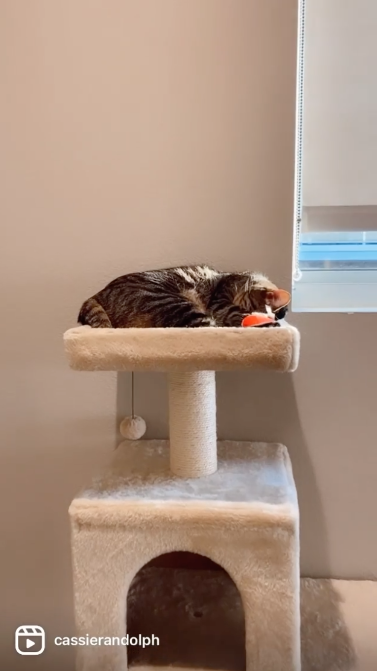 Cassie Randolph House Tour: 'Bachelor' Star's L.A. Apartment 4