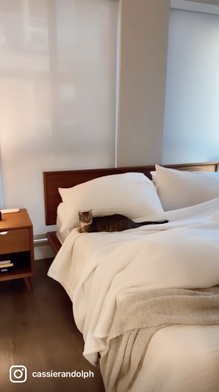 Cassie Randolph House Tour: 'Bachelor' Star's L.A. Apartment 6