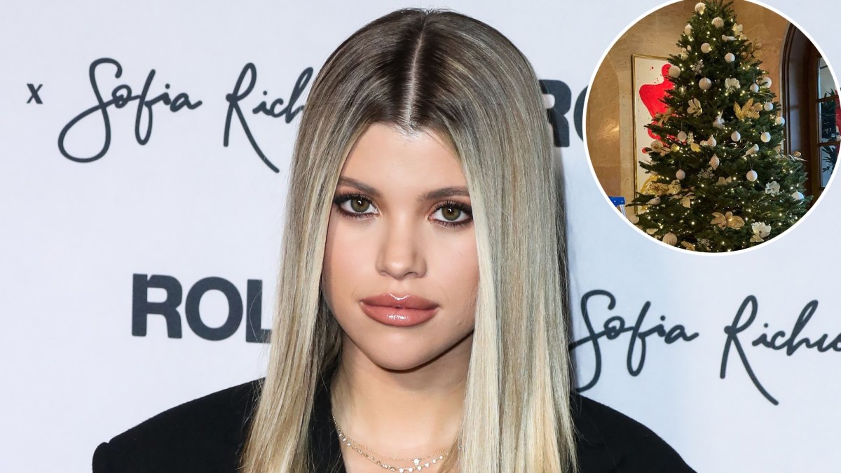 Winter Wonderland! Sofia Richie's Chic Holiday Decor Will Have You Rethinking Your Christmas Tree Aesthetic