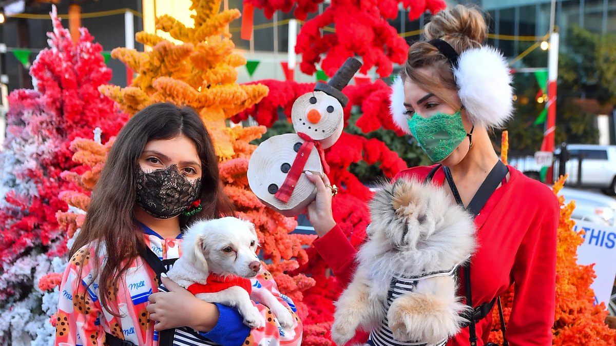 farrah-sophia-abraham-wearing-onesies-while-christmas-tree-shopping