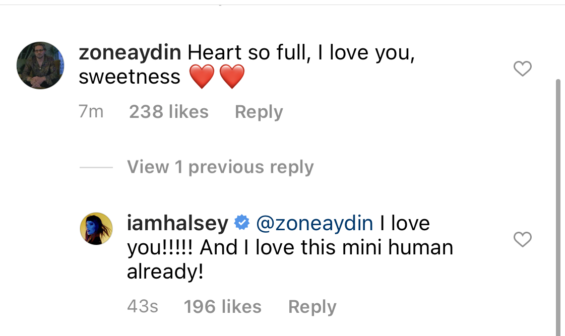 Halsey Is Pregnant With Baby No. 1: Pregnancy Announcement Boyfriend Alev