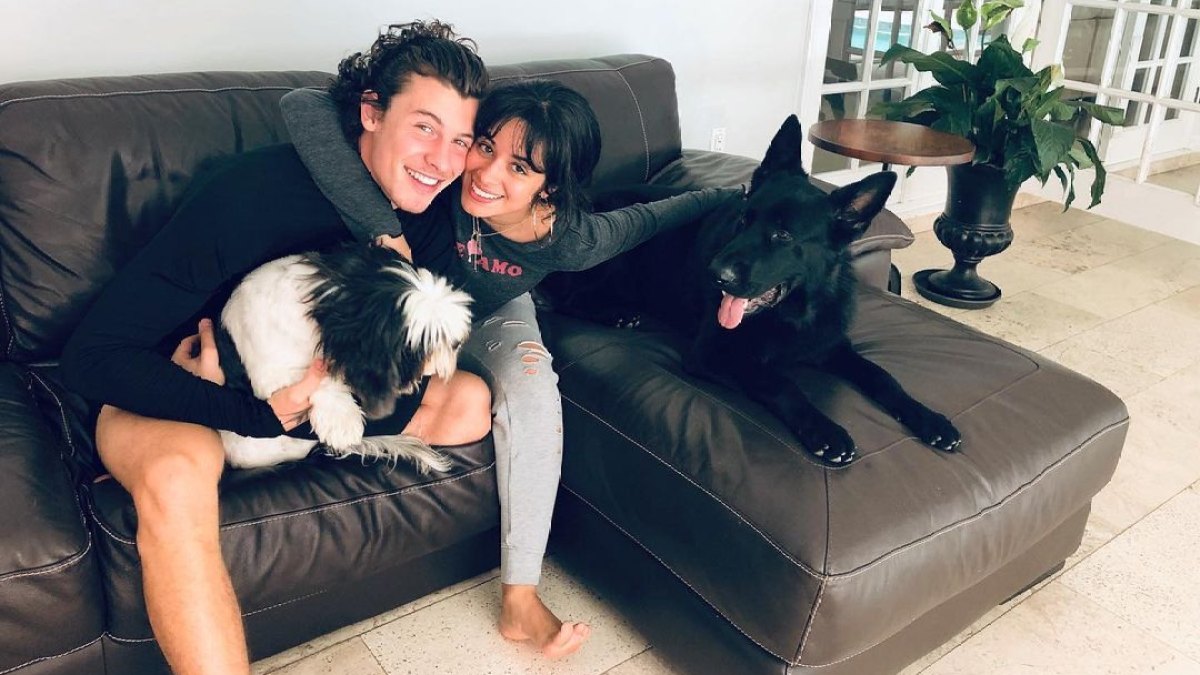 Shawn Camila Engaged