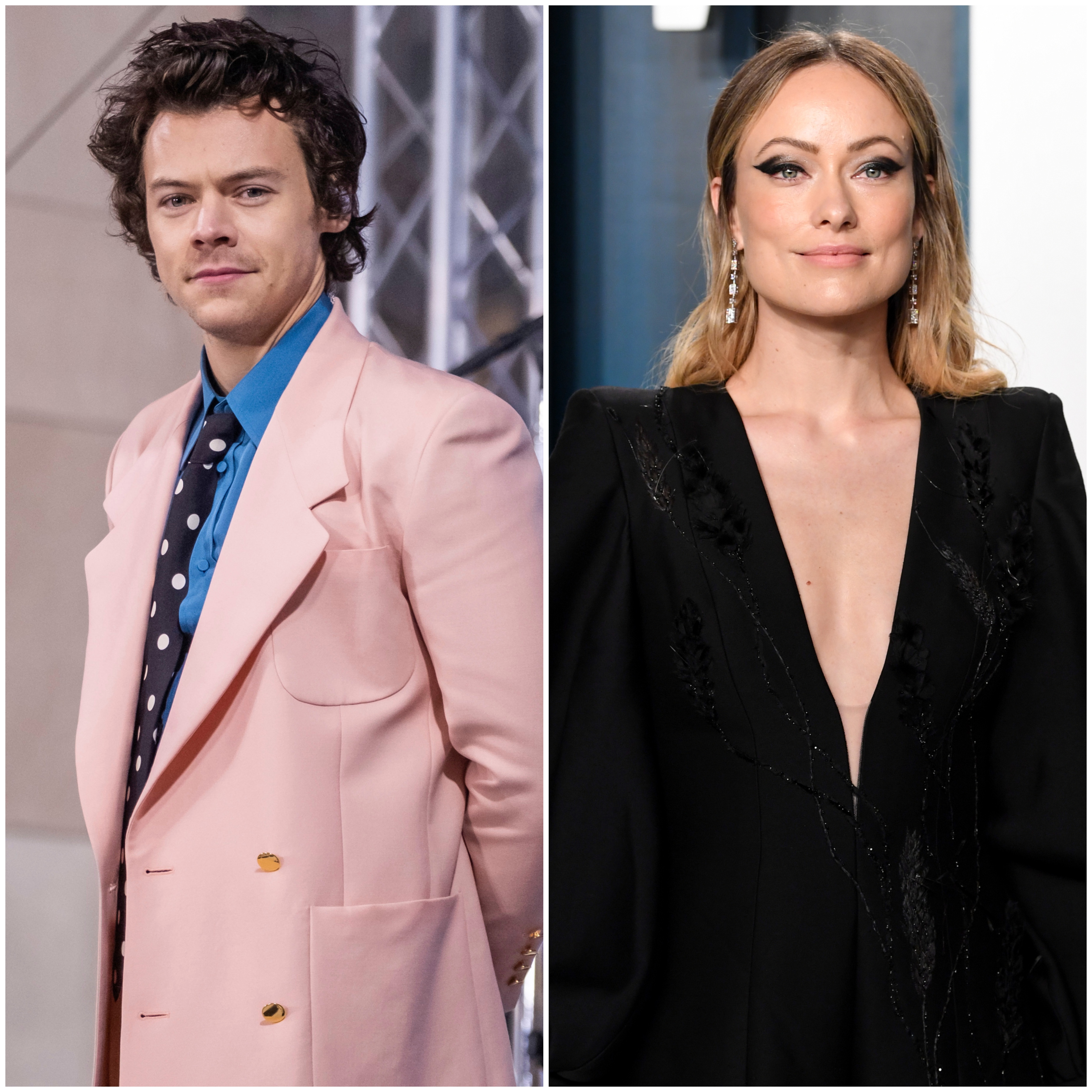 Harry Styles and Olivia Wilde