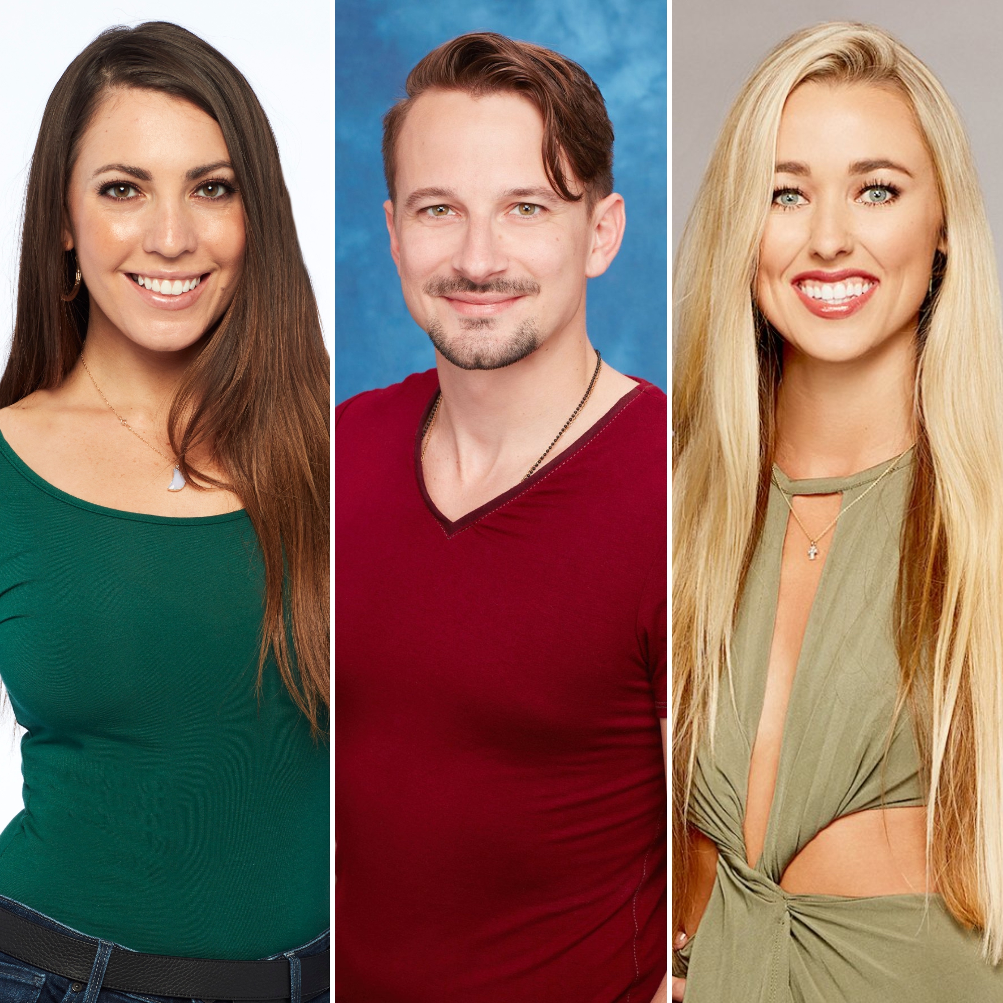 Weirdest Contestant Jobs on the Bachelor and Bachelorette image
