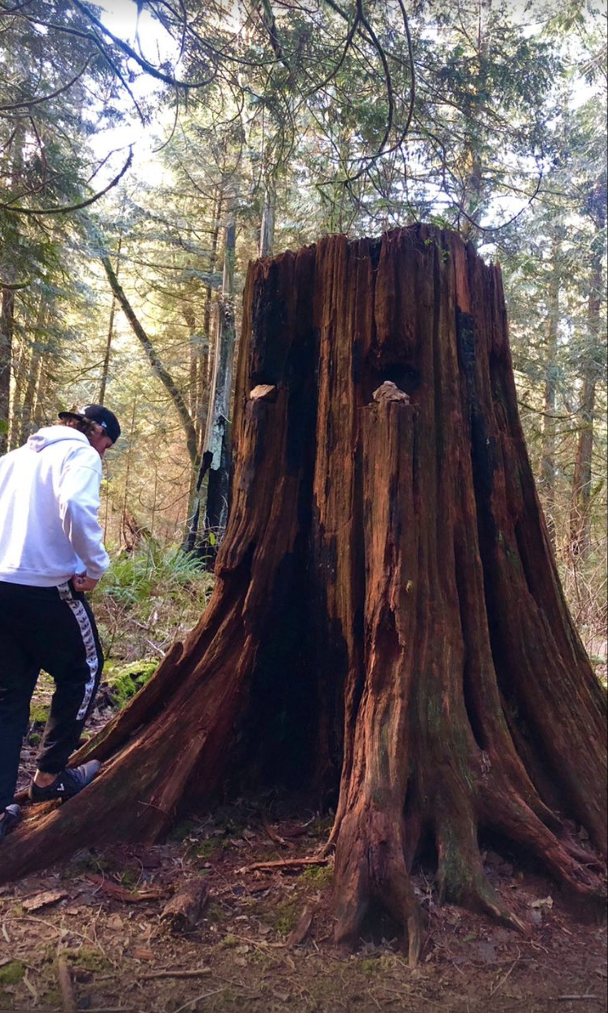 Where Does Vanessa Morgan and Michael Kopech's Relationship Stand? A Complete Timeline