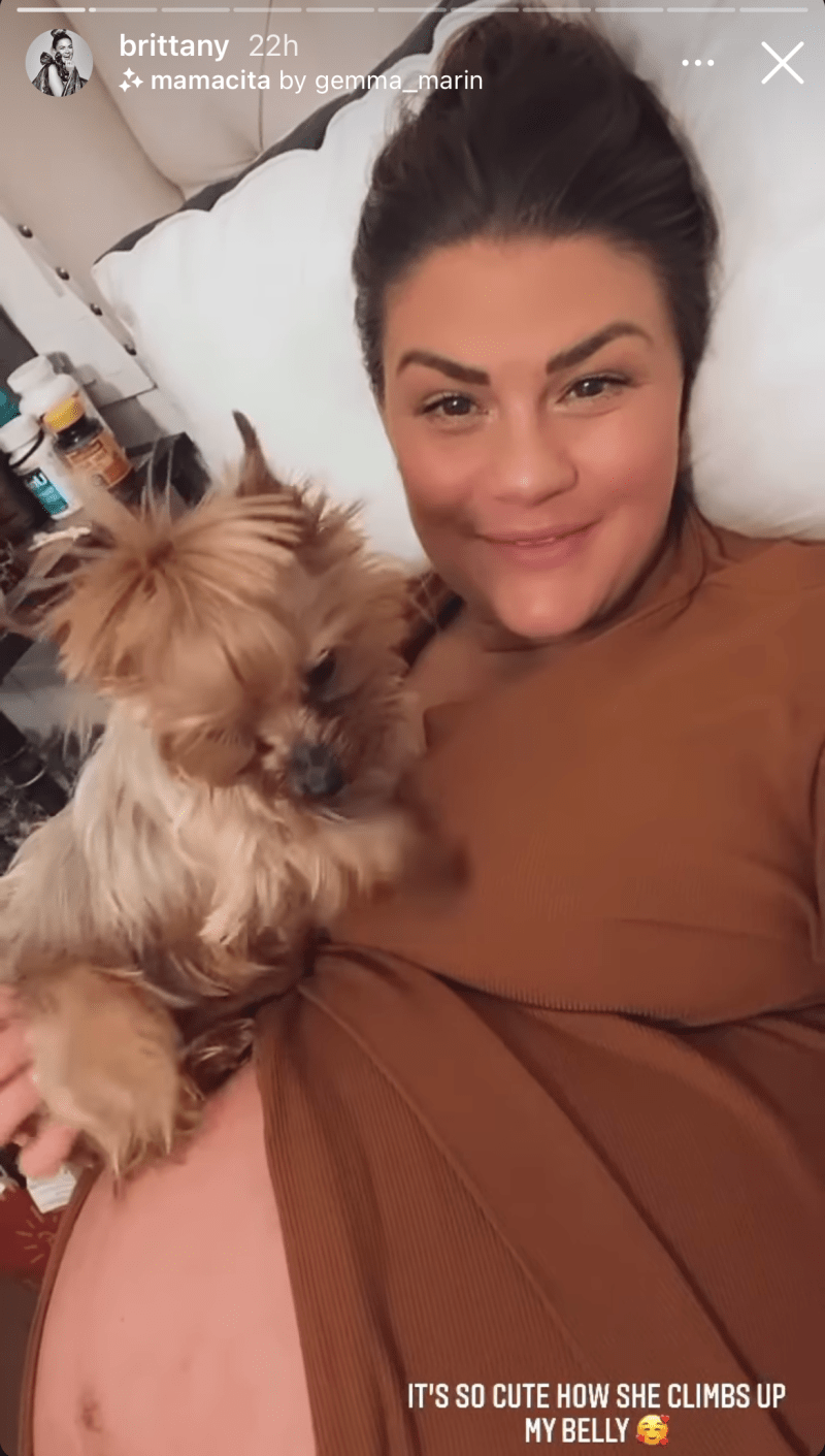 brittany-cartwright-baby-bump-dog