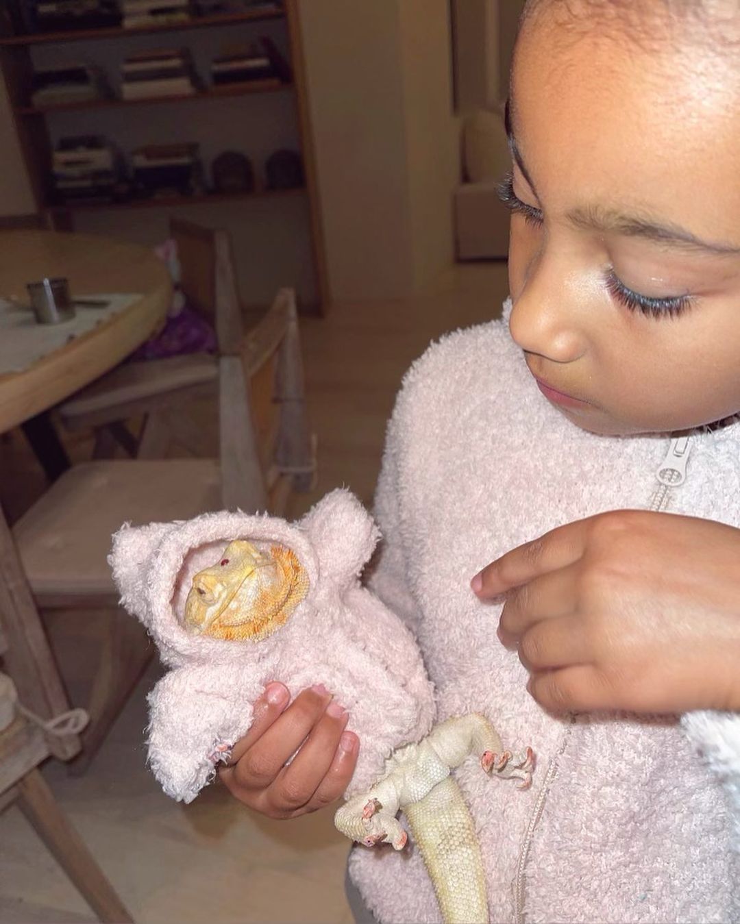 Kim Kardashian Slammed for Dressing Pet Reptile in Skims Clothing