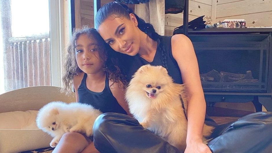 ~Keep Up~ With Every Kardashian-Jenner Family Pet! Kylie's Dogs, Kim's Bearded Dragon and More