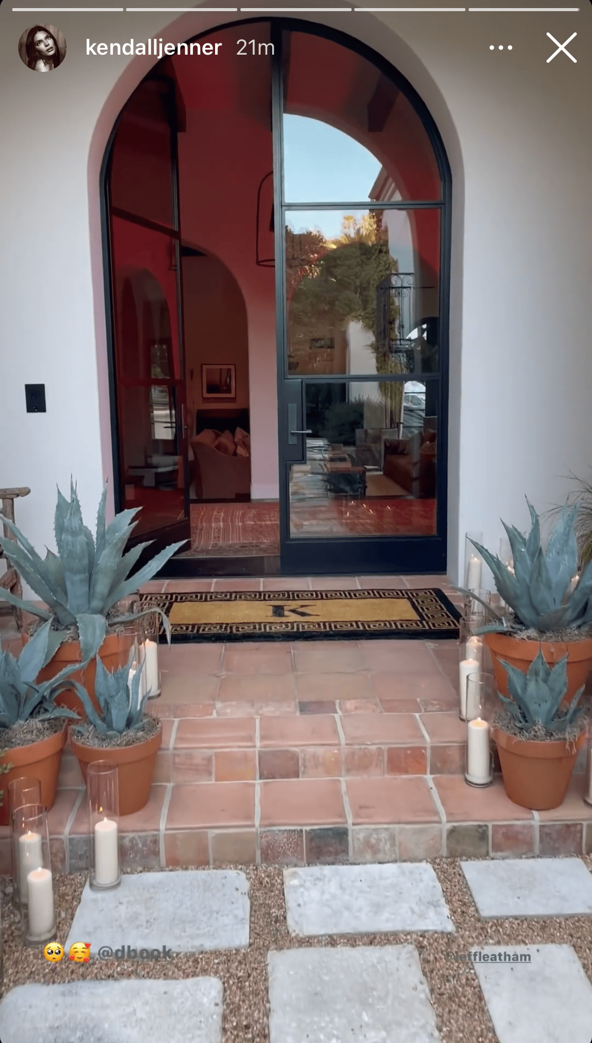 kendall-jenner-devin-booker-818-plant-display