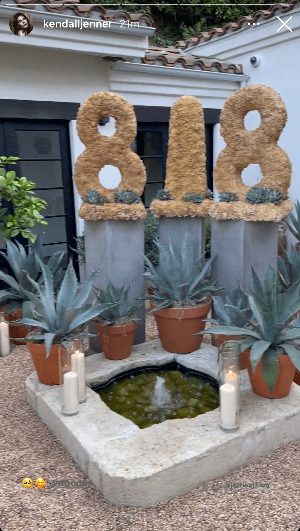 kendall-jenner-devin-booker-818-plant-display