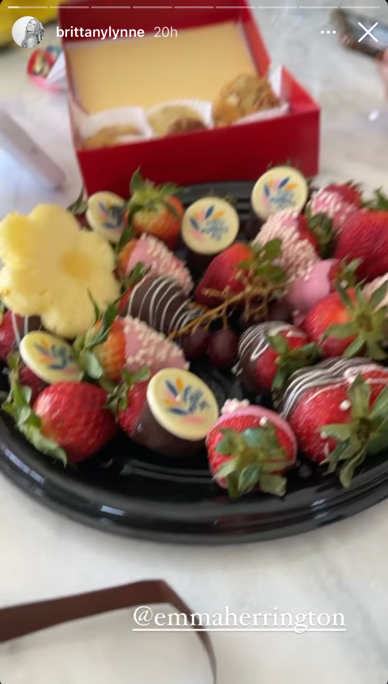 what-brittany-matthews-eats-chocolate-covered-strawberries